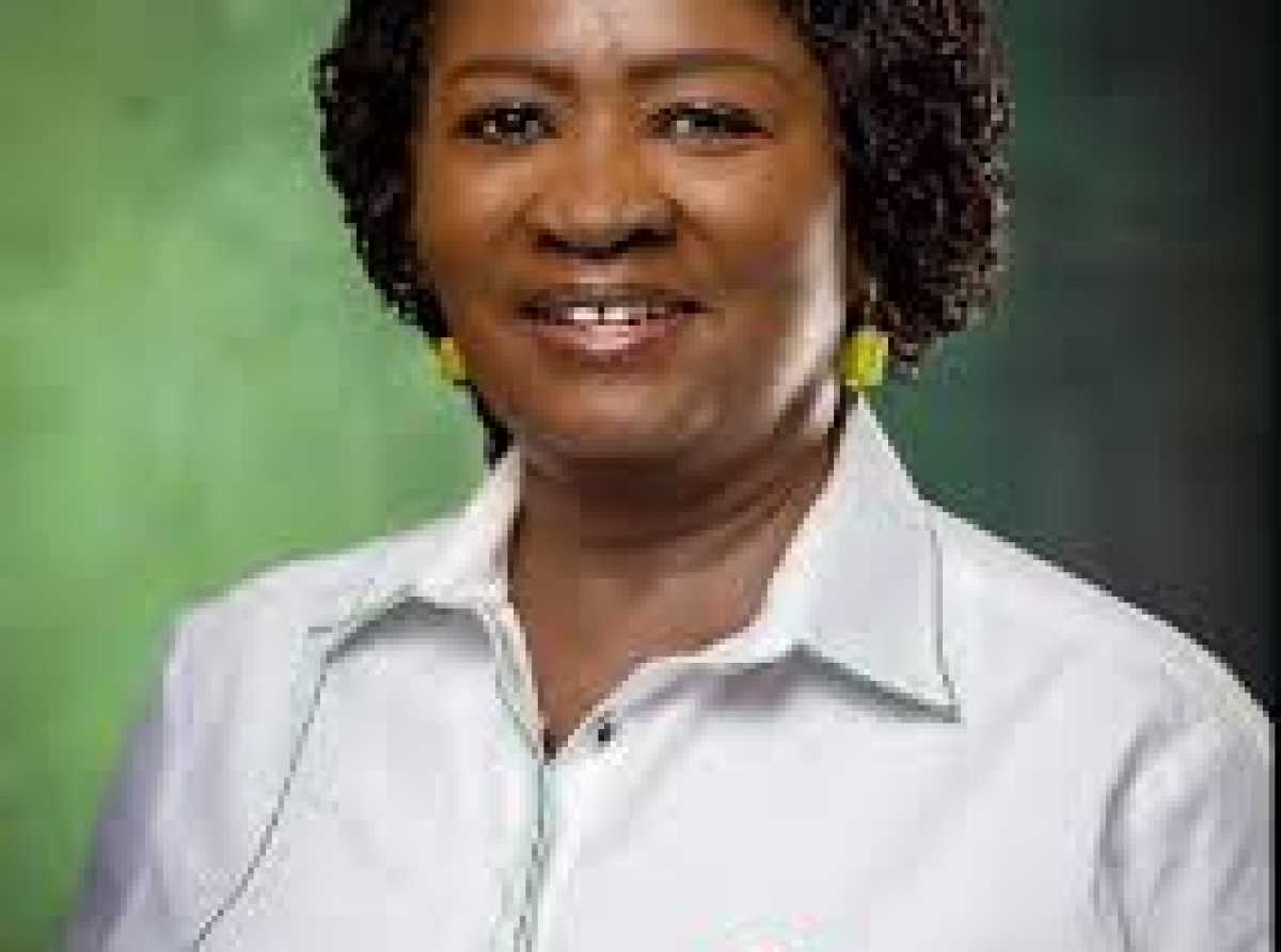 Vice President highlights the role of 24-hour economy policy in boosting productivity and creating jobs in shea sector